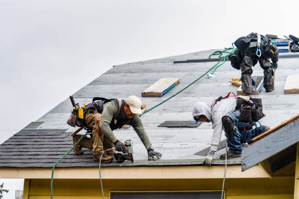 Professional Gutter Installation technician working in Central City, NE
